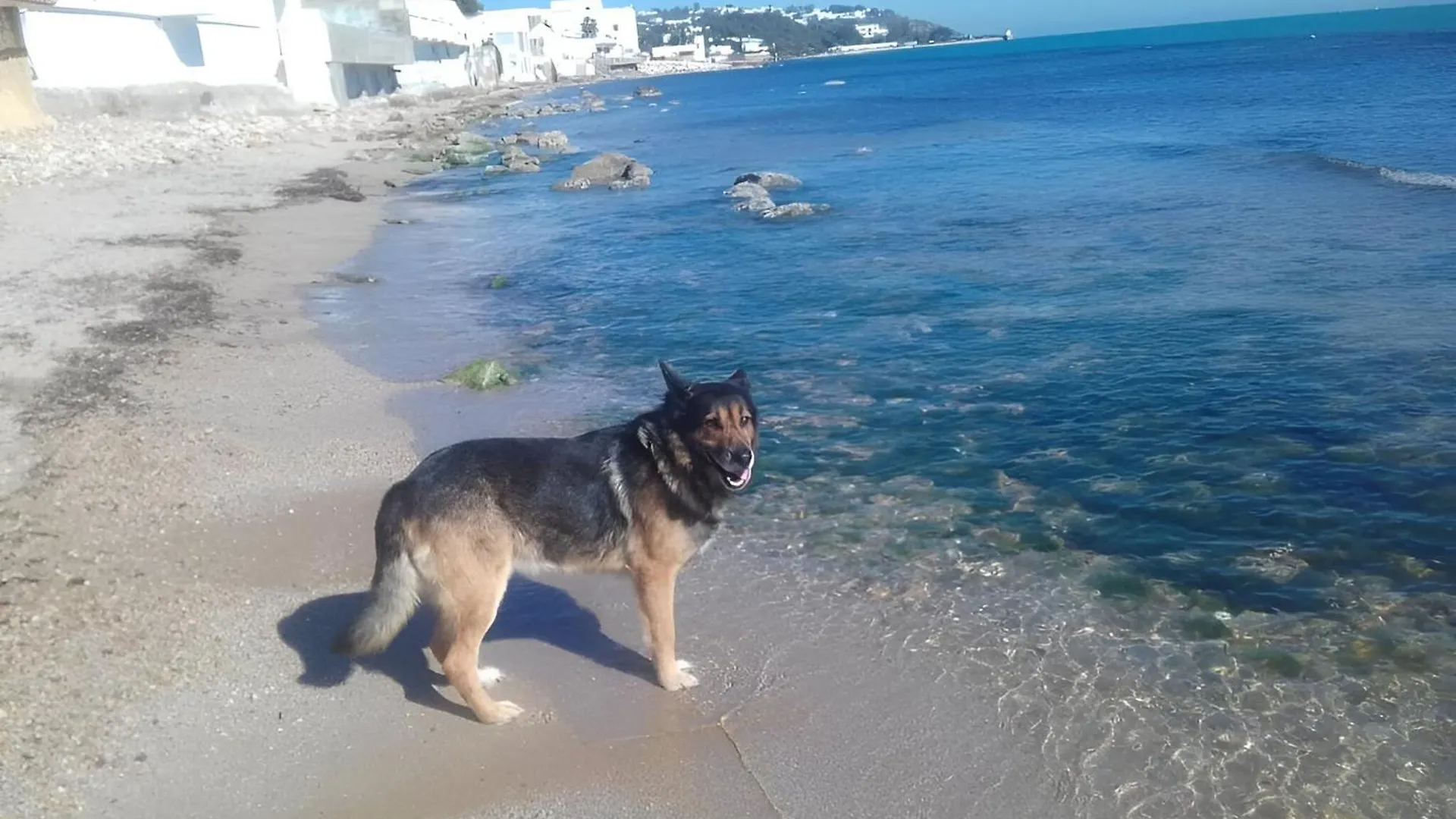 Au Bout Du Jardin Villa Carthage Tunisia