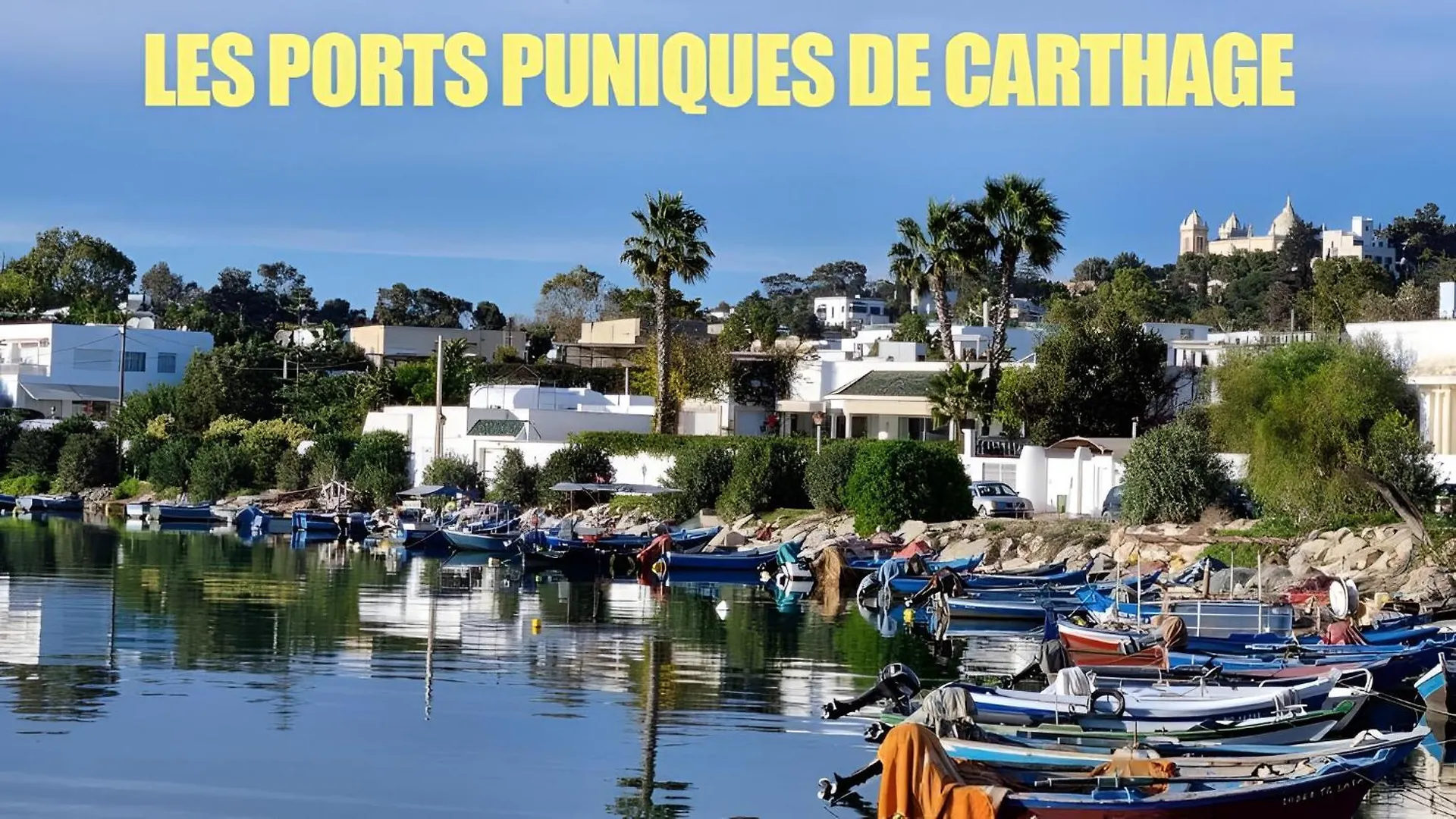 Au Bout Du Jardin Villa Carthage