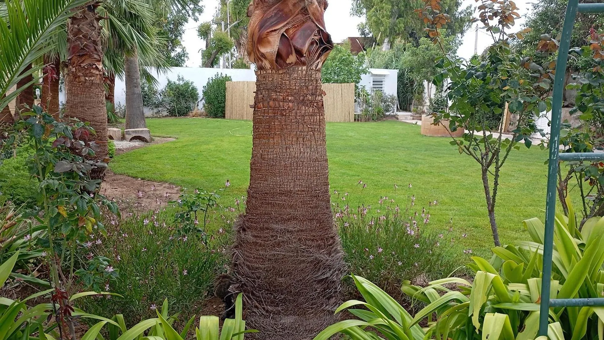 Au Bout Du Jardin Villa Karthago