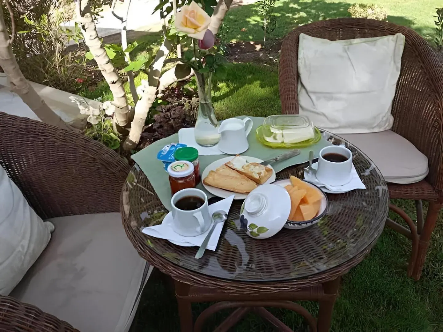 Au Bout Du Jardin Villa Carthage