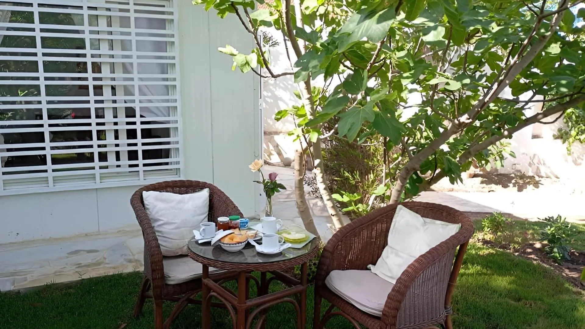 Au Bout Du Jardin Villa Carthage