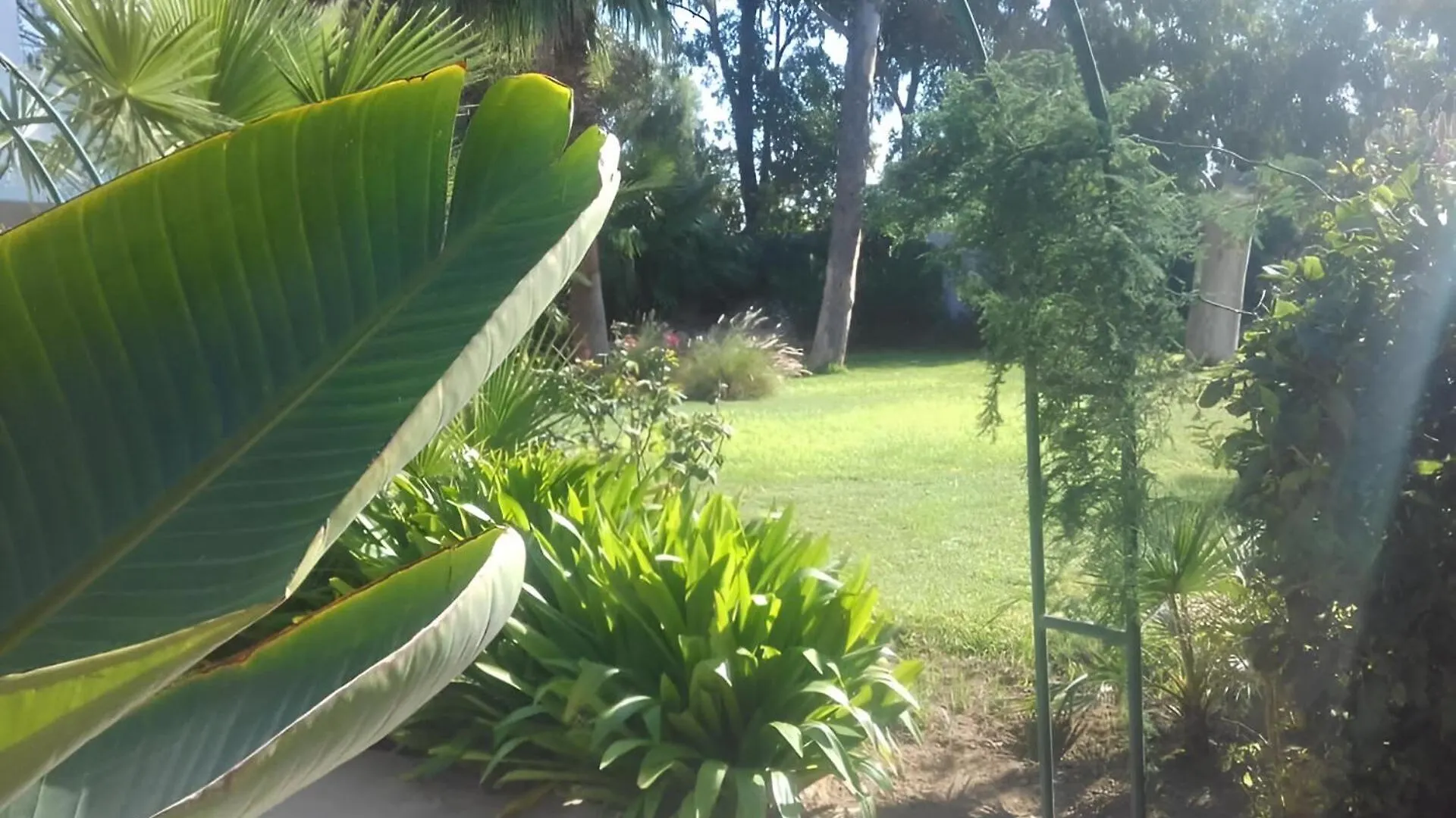 Au Bout Du Jardin Villa Carthage