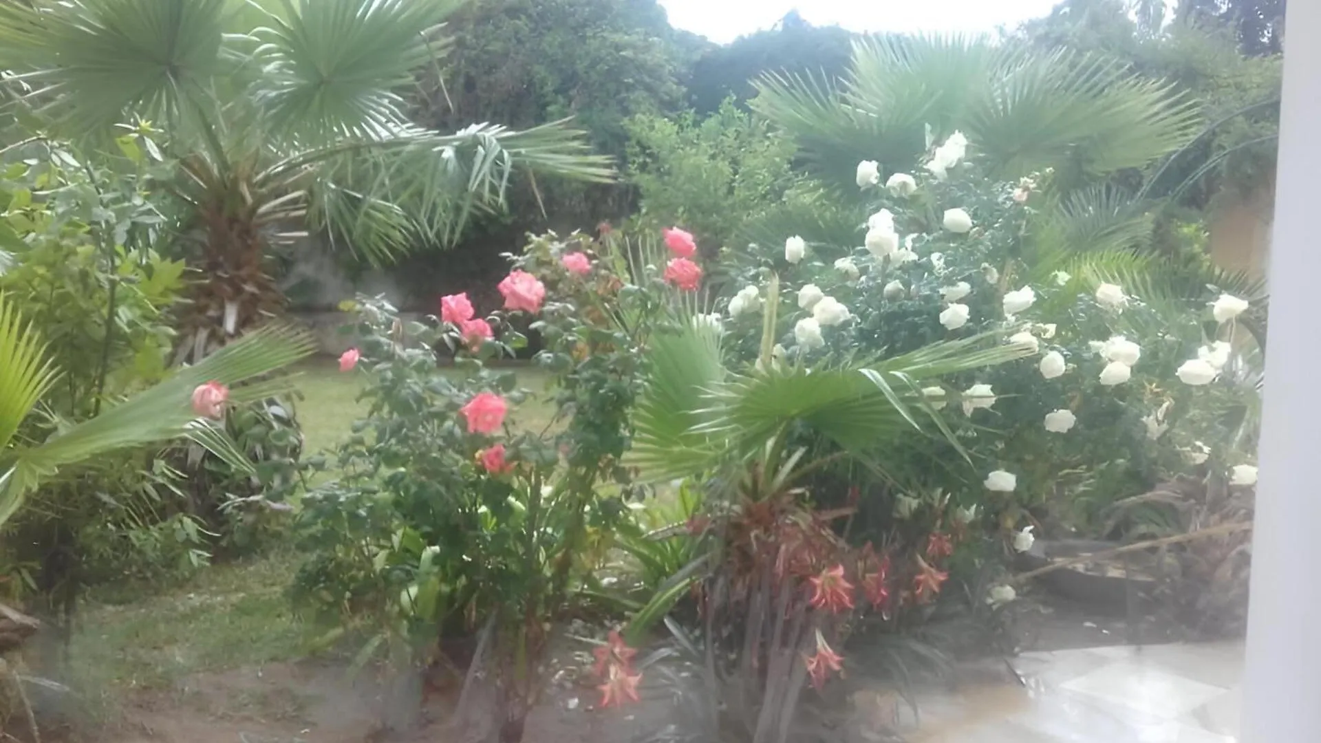 Au Bout Du Jardin Villa Carthage