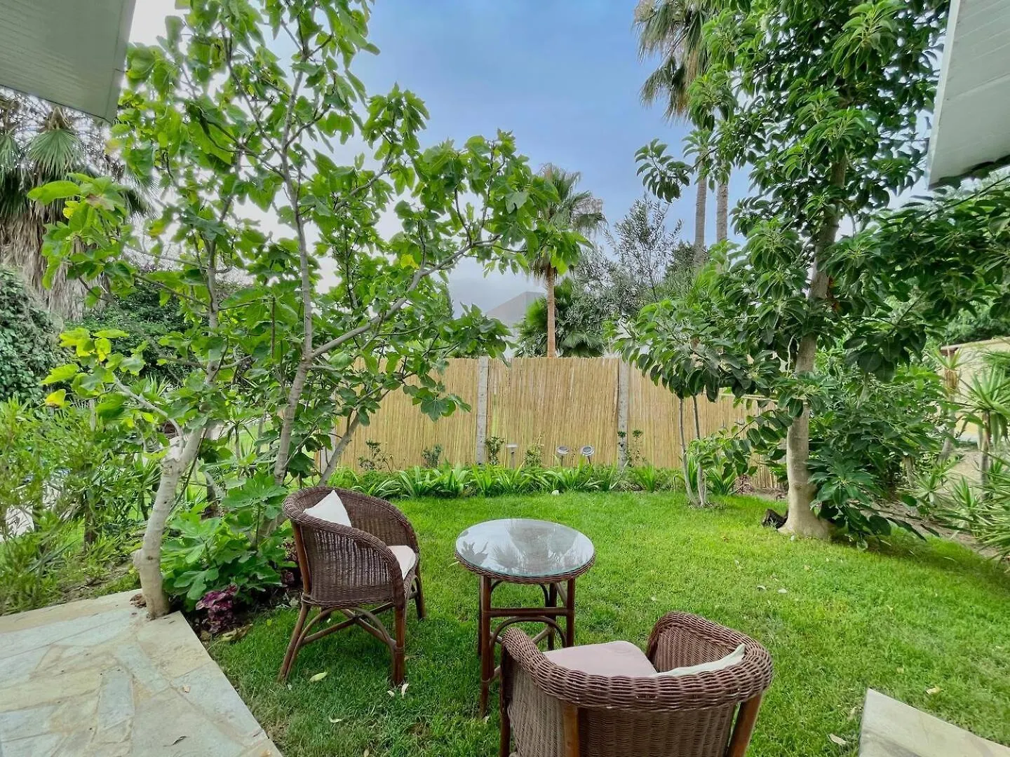 Au Bout Du Jardin Villa Carthage