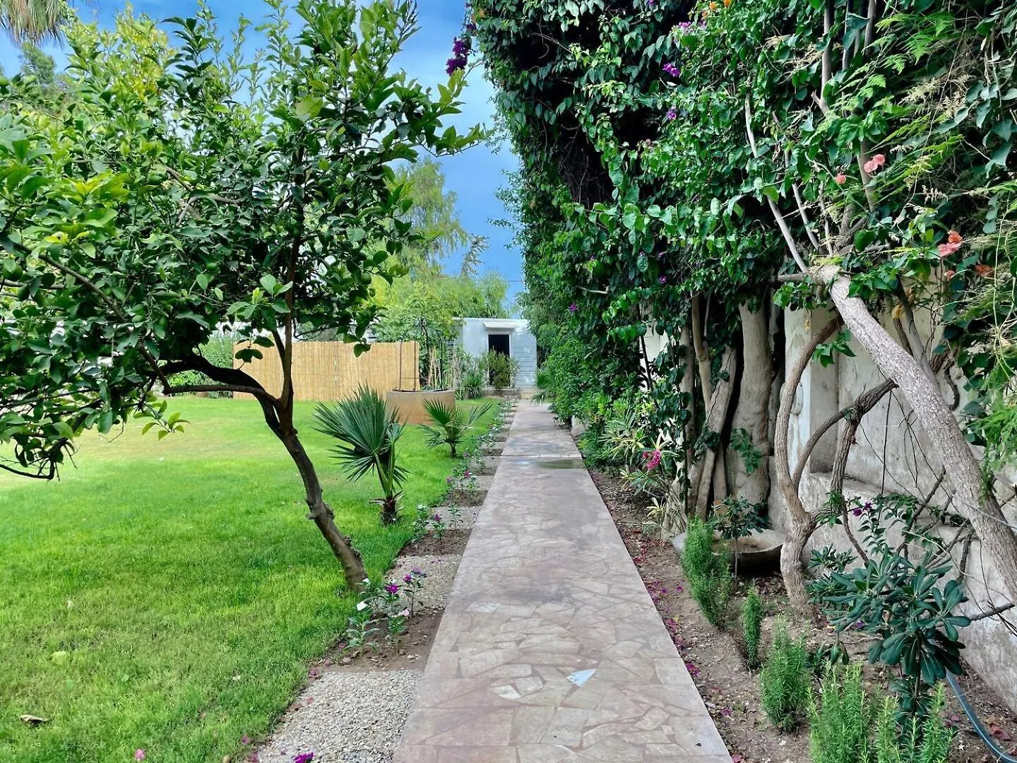 Au Bout Du Jardin Villa Carthage